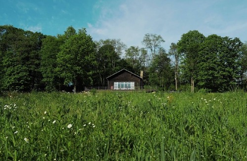 Rockwood Cabin | Cozy Cabin on 84 acres with creek and spring fed pond