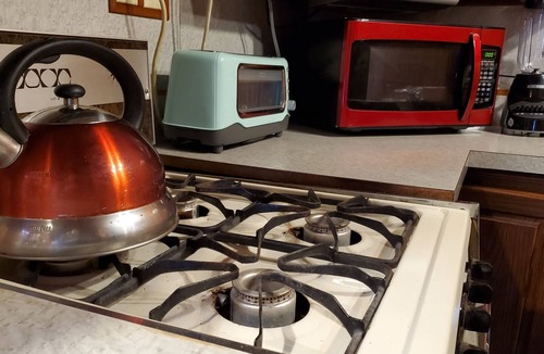 Carbondale Cottage | Cozy Lake Cottage with Elk Mountain 20 Minutes