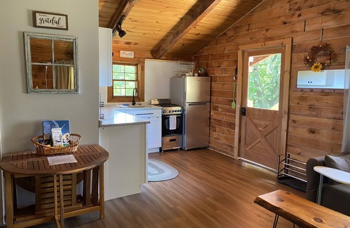 Pine Hill Cabin | Cozy Log Cabin in the Catskills Belleayre Ski Mountain
