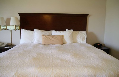 Selinsgrove Hotel | Cozy & Modern Home Base Near Susquehanna River Attractions! Parking