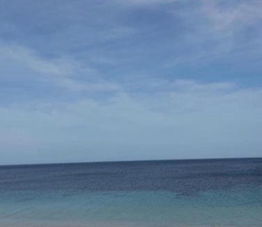 Port El Kantaoui Apartment | Cozy S1 apartment, Tropical setting, pool and sea