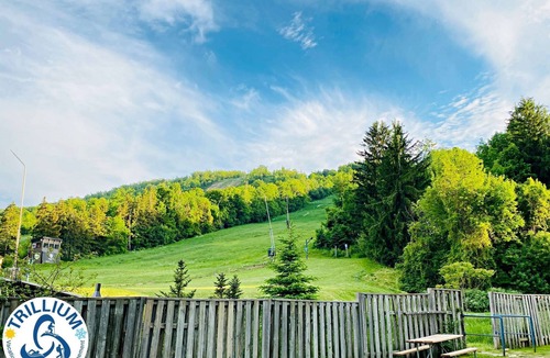 Craigleith Apartment | Cozy Studio Loft with 2 Baths Next to the Slopes