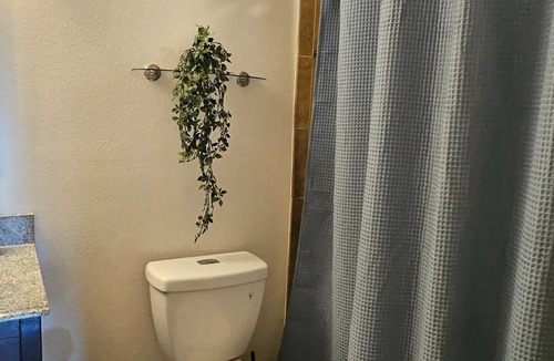 Valrico Apartment | Cozy Two Bedrooms Apartment in Valrico
