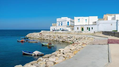 Borj Erras House | DAR EL HAMRA