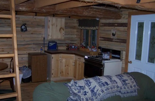Dansville Cabin | Dueck Cabin