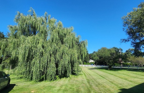 State College House | Elite historic Atherton estate centrally located and 2.4 miles from stadium.