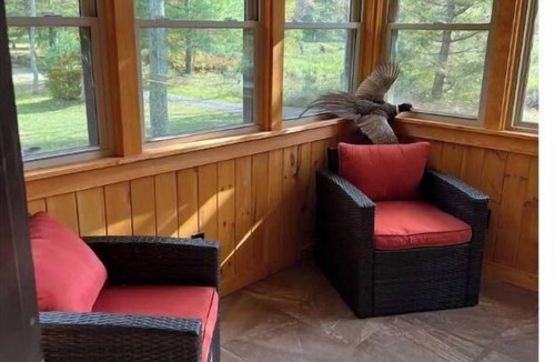 Austin House | Elk/trout/hunting/star gazing 4 bdrm, 2 bath cabin