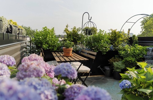 Fairmount House | Entire Fairmount Home With Skyline View