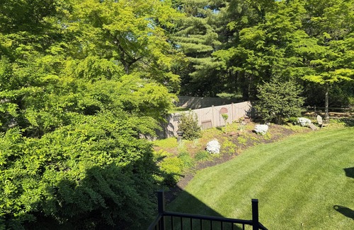 Haverford Apartment | Escape to the Tree House- A Private Retreat