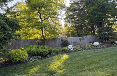 Haverford Apartment | Escape to the Tree House- A Private Retreat
