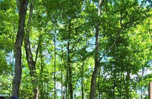 Scottdale RV Rental | FOUR SEASONS LAUREL HIGHLANDS CAMPING