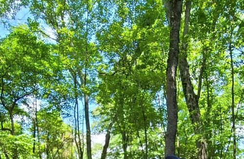 Scottdale RV Rental | FOUR SEASONS LAUREL HIGHLANDS CAMPING