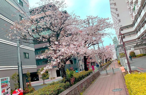Ota House | FUKA KAZEHANA MINBAKU OOMORIHONCHO｜11 min. direct access to Haneda Airport, private house for rent