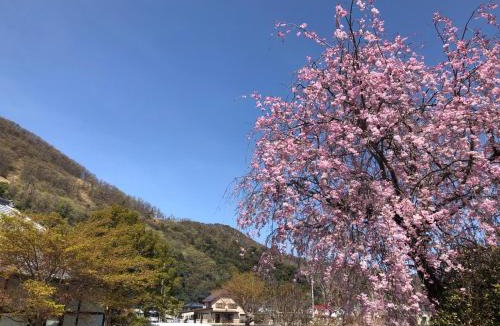 Isawa Onsen House | Fukurou no Oyado - Vacation STAY 71286v