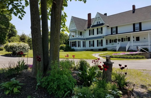 Lodi House | Full House of Highly Rated Bed and Breakfast (VRBO fee refund offer)