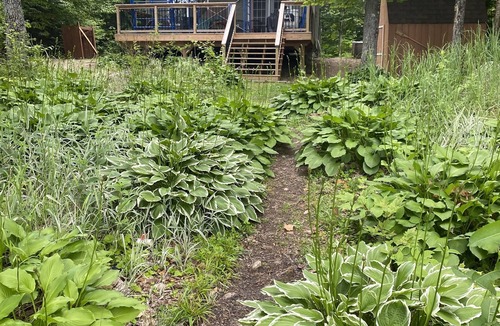 Machar Cottage | Fully renovated 4 season cottage on pristine lake