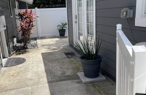 Lake Magdalene House | Griffin's Cozy Guest House private and very quiet backyard