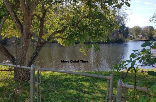 Seven Springs Homes House | GULF BEACHES to walk along or swim in. RELAXING & FUN