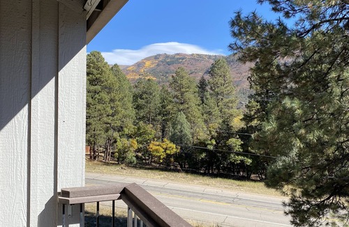 Durango Condo | Half way there,15 minutes to skiing at Purgatory or dining & shopping in Durango