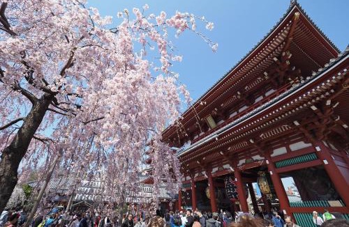 Kaminarimon Apartment | Hanarai Asakusa