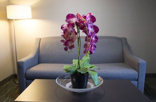 Sudbury Hotel | Holiday Inn Sudbury by IHG
