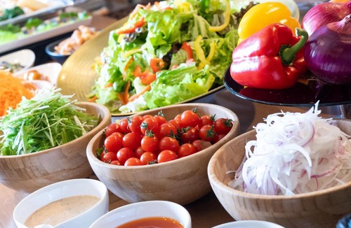 Tachikawa Hotel | HOTEL MYSTAYS Tachikawa