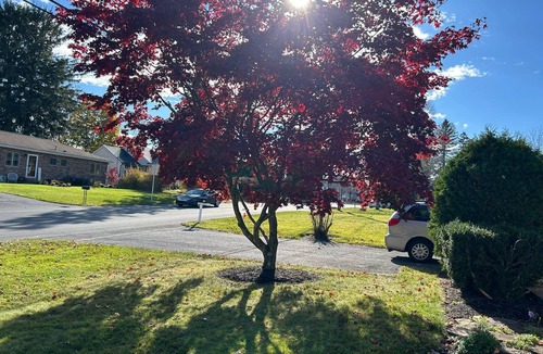 Park Forest Village House | House - 30 minute walk to Penn State campus