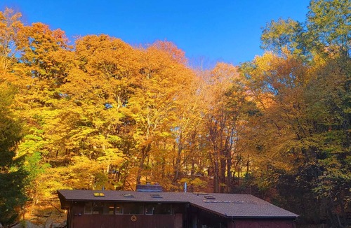 Carmel House | House in the woods at a stone’s throw from NYC