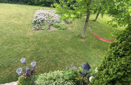 Ashfield-Colborne-Wawanosh Cottage | Huron Lakefront Romantic Cottage/pet friendly/Outdoor Shower for you/pets.