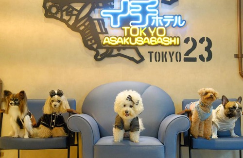 Asakusabashi Hotel | ICI HOTEL Asakusabashi