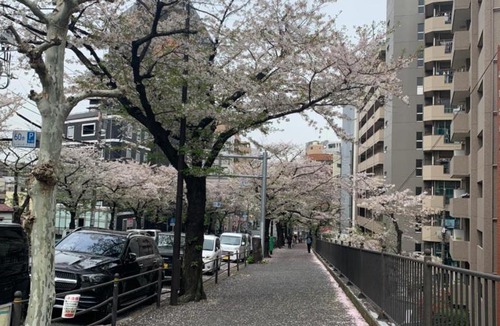 Kitaotsuka Apartment | Jr山手线大塚站步行2分钟 東南社3号