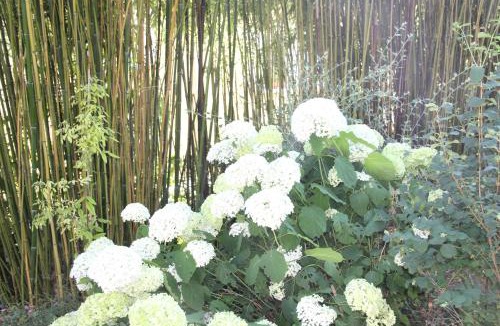 Bussy-Saint-Martin Bed & Breakfast | La Villa Blanche