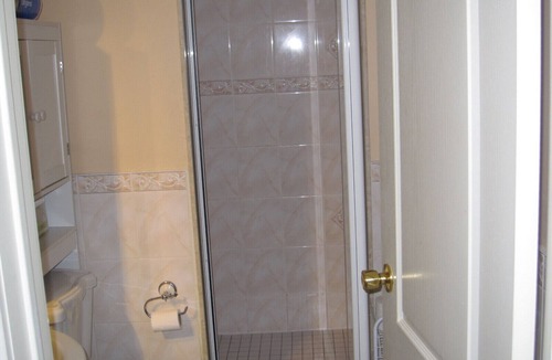 East Credit House | Large Open Basement Room with bathroom and Vegetarian kitchen