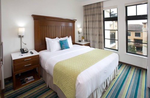 Winter Park Hotel | Large Room Award Winning Hotel w/Rooftop Pool - Close to Parks & Rollins College