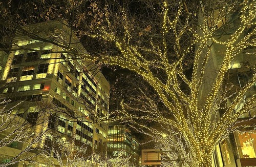 Minamiaoyama House | Le Tournesol d'Omotesando Family et Enfants