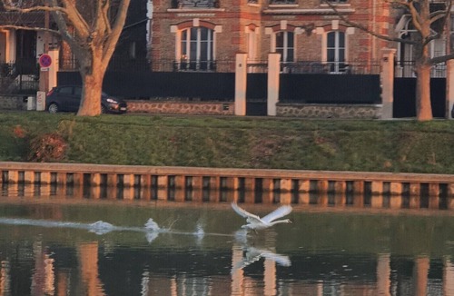 Lagny-sur-Marne Villa | Les Flolies on the banks of the Marne: Character villa - Disney - Paris