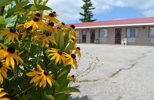 South Bruce Hotel | Lighthouse Motel