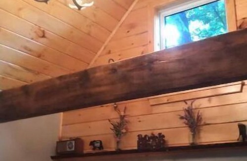Dansville Cabin | Livingston cabin