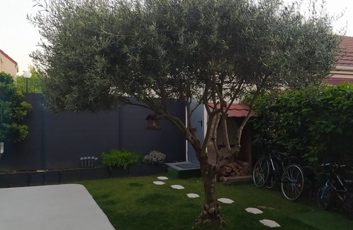 Thiais House | Lovely House, Only 7km From Paris/10 min From Airport
