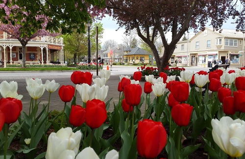 Old Town Historic District Cottage | Luxury 1835 Cottage in NOTL. Private parking. Right in centre near Shaw Theatre.