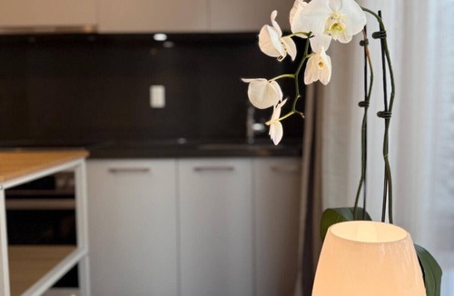 Bloor-Yorkville Apartment | Luxury Condo Yorkville Pool gym