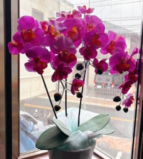 Itabashi Apartment | Maenochō, Itabashi City-2LDK 王house IT0489