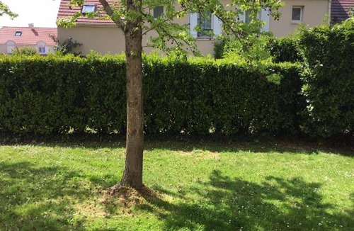 Magny-le-Hongre Apartment | MAGIC NAVY APPART