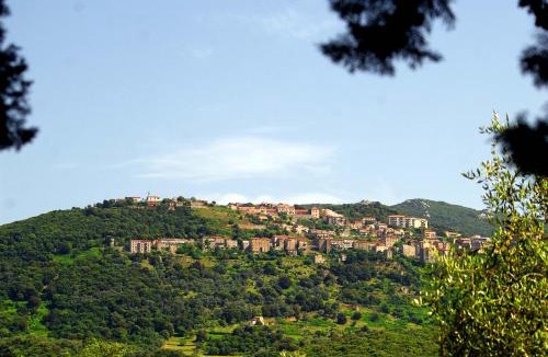 Sartene Apartment | Meublés de Tourisme Casa Erbaggio