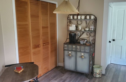 Hector House | MINUTES FROM WATKINS GLEN COME VISIT THE ODESSA OASIS. Spacious home!