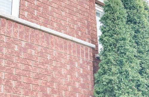 Lisgar House | Mississauga Home Away from Home