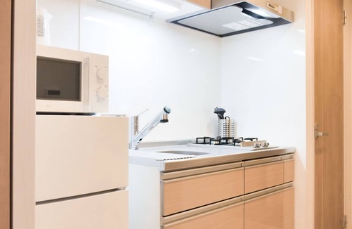 Minamiotsuka Apartment | Modern Apartment near Sugamo Station