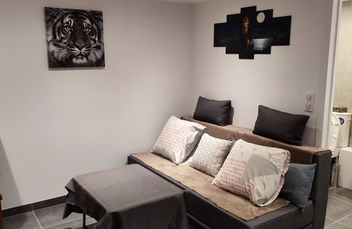 Joinville-le-Pont Apartment | MON SAFARI EN BORD DE MARNE +NETFLIX