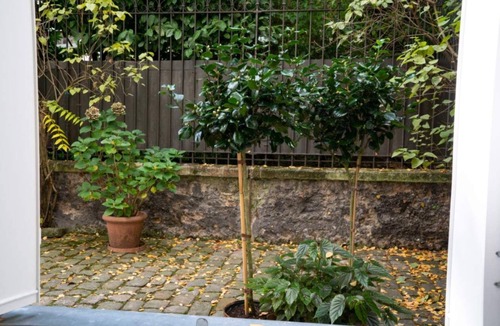 Val-de-Grace Apartment | My Nest Inn Pantheon - Latin Quarter