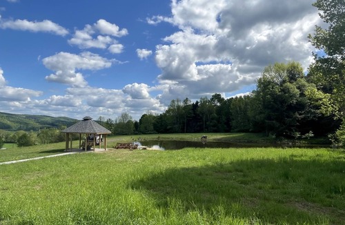 Fly Creek Cottage | New for 2024! Koko's Koop - Sleeps 6!